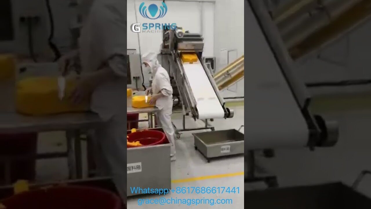 Fermented Panko Bread Crumbs(1500kgh) Production Line Factory